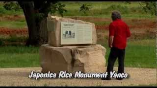 preview picture of video 'Japonica Rice Monument Yanco'
