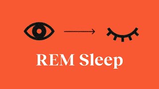 What REM sleep does for your brain—and 3 ways to trigger more of it | Patrick McNamara