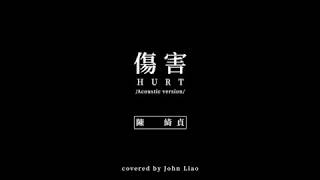 [cover]陳綺貞-傷害 Hurt