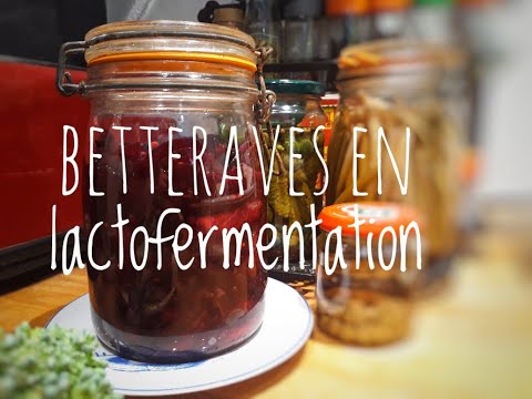 CONSERVES de BETTERAVES en LACTOFERMENTATION