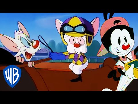 Animaniacs | Pinky and the Brain Take Over the Derby | Classic Cartoon | WB Kids