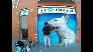 Graffiti perro Bull Terrier en persiana
