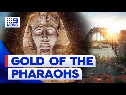 How to get a rare glimpse of Ramses II in Sydney | 9 News Australia