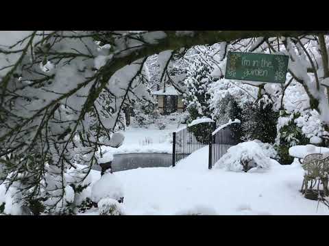 Pt 16: Como construir uma casa de chá japonesa - As portas Shoji