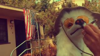 Ratatat - Nightclub Amnesia (fanvid)