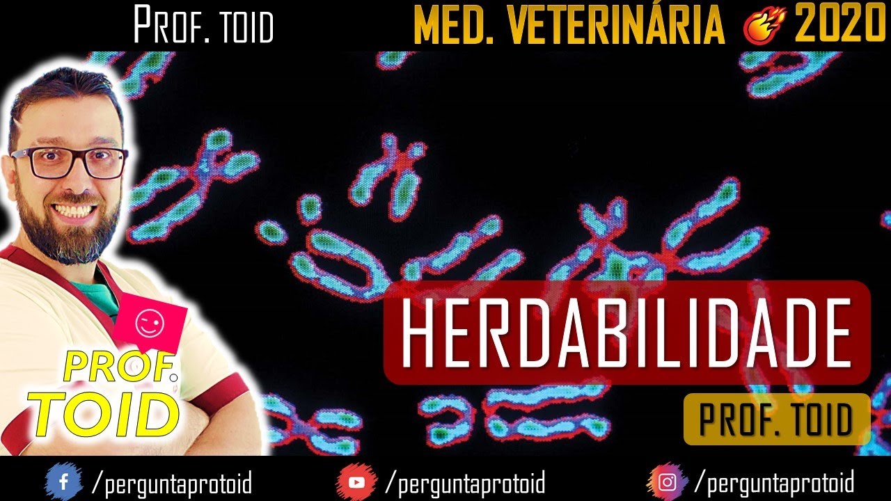 UniFatecie | Herdabilidade | Melhoramento Genético | Turma III | Med. Veterinária