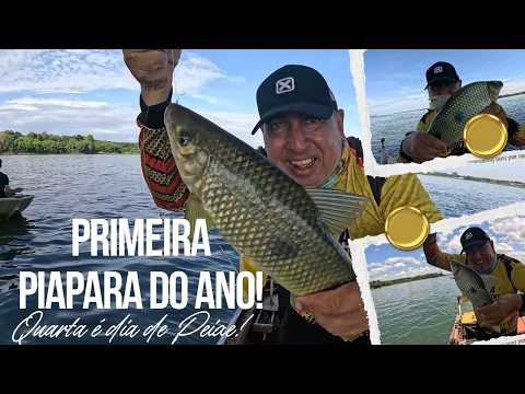 🌉PRIMEIRA PESCARIA DE PIAPARAS DO ANO! PEGAMOS DEBAIXO DA PONTE!🌉