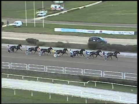 Trotto 15/01/2015 - 4° Corsa