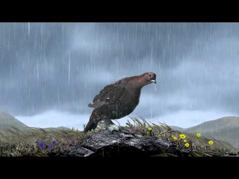 The Famous Grouse TV Advert - Summer Mayfly
