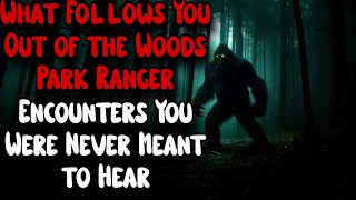 What Follows You Out of the Woods | Park Ranger Encounters You Were Never Meant to Hear
