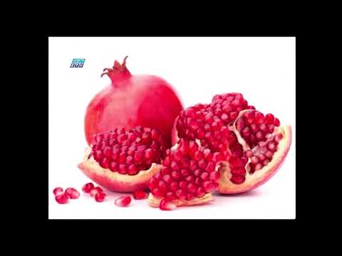 চুয়াডাঙ্গায় বাণিজ্যিকভাবে ডালিম চাষ