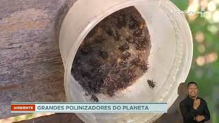 Miniatura do vídeo