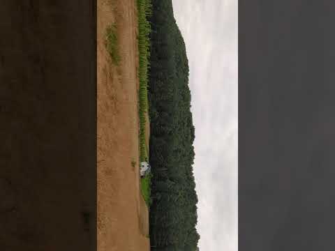 Kawęczynek koło Szczebrzeszyna 2020