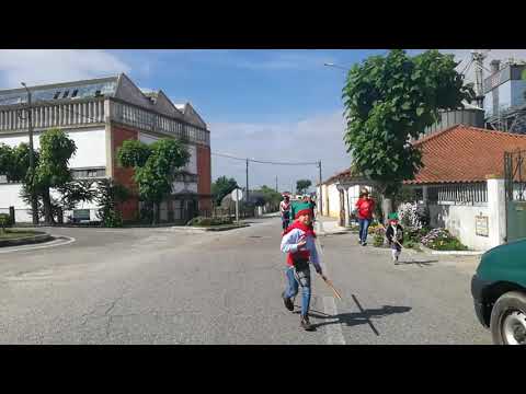 Entrada de Toiros 2020