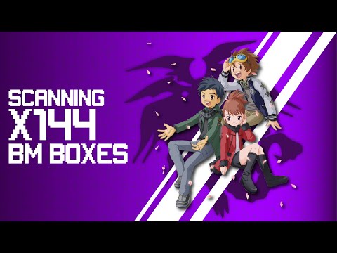 DMO Scanning x144 BM Box