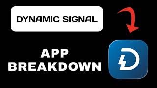Dynamic Signal App Explained - What to Expect