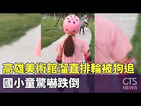 高雄美術館溜直排輪被狗追　國小童驚嚇跌倒