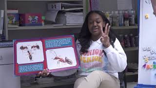 MGM PRE K