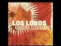 Los Lobos - Not In Nottingham