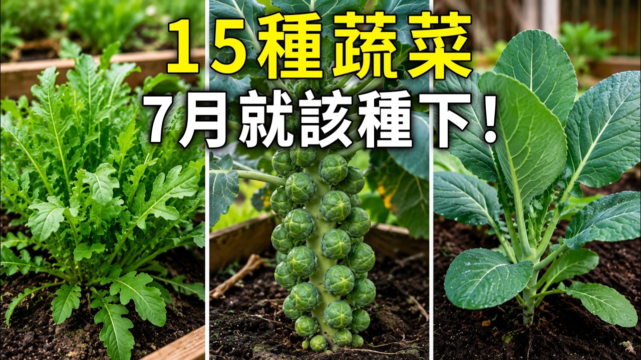 15種7月就該種下的蔬菜，讓你一路採收到年底！