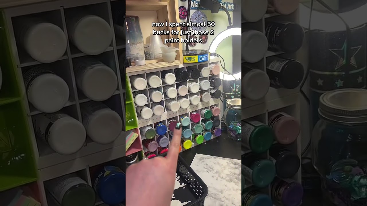 Dollar Tree DIY paint organization #dollartreediy #dollartree #paintorganization