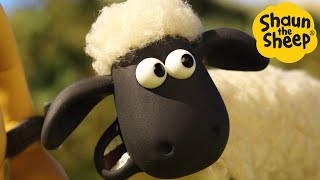 Shaun the Sheep 🐑 What could go wrong? - Cartoons for Kids 🐑 Full Episodes Compilation [1 hour]