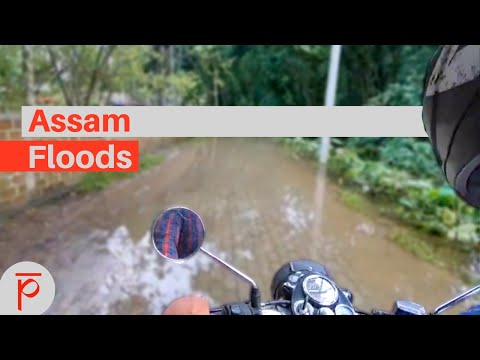 Video with quote