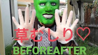 【草むしり】ただの草むしりです【Vlog】