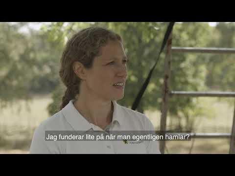 Introduktion till hamling