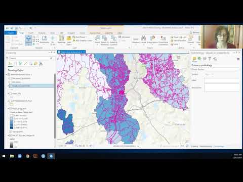 Summarizing within polygons in ArcGIS