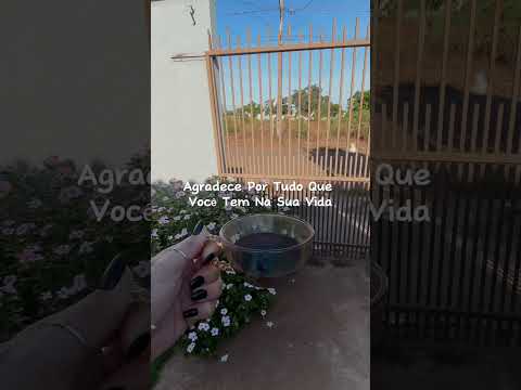 Bom dia com café da Rafa de Cana Brava do Norte MT 😍☕️ #bomdia #café #reflexão