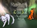 Ashfur AMV I Hate Everything About You