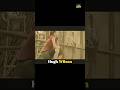 Hugh Wilson – Falling Away (2002) | Falling Without Fear #shorts