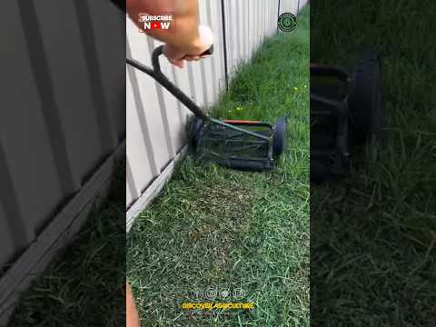 Manual Lawn Grass Trimmer Tool