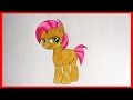 How to draw pony Babs Seed my little pony, Как ...