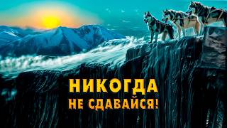 Никогда не сдавайся!