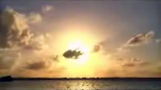 Sinead O&#39;Connor Scorn not his simplicity