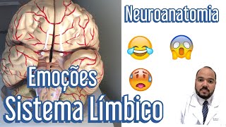 Sistema Límbico e as Emoções - Neuroanatomia