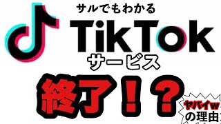 【tiktok】サービス終了の理由がヤバすぎるw3分で解説！