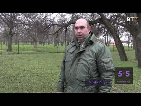 Lovačko društvo ''JELEN'' SRPSKA CRNJA