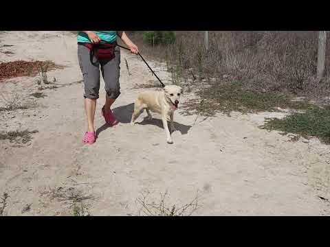 Vídeo de TELMO