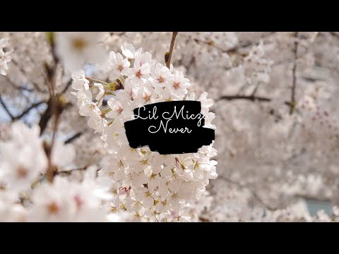 Lil Miczi - Never