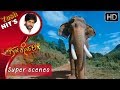 Yash Kannada Scenes Yash Is Attacked By Kalinga Elephant Gajakessari Kannada Movie