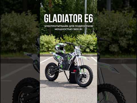 фото электрический питбайк gladiator e6 0