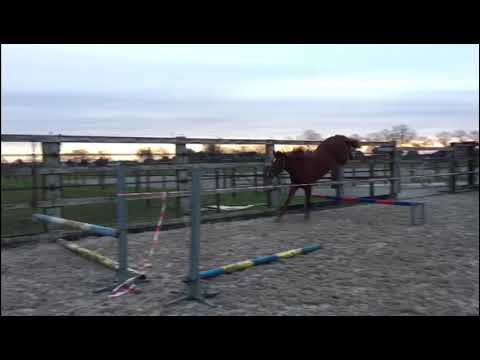 Bit Coin Z: BIG STAR x CORNET OBOLENSKY first jumps in 2021