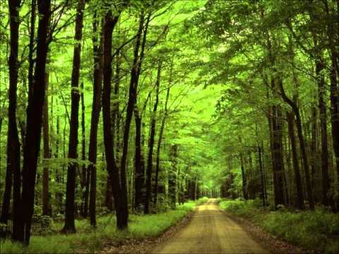 Slobodan Domacinovic-Padurise verde