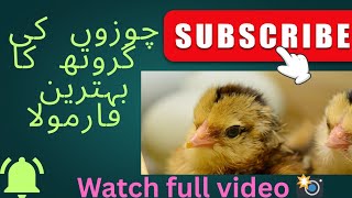 🐤🐤THE BEST FORMULA OF CHICKS 🐤🐤 GROWTH 💹📈