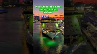 FREEDOM of the SEAS заходит в Майами #freedomoftheseas #miami #umarkeyn #cruiseship #4k #cruise