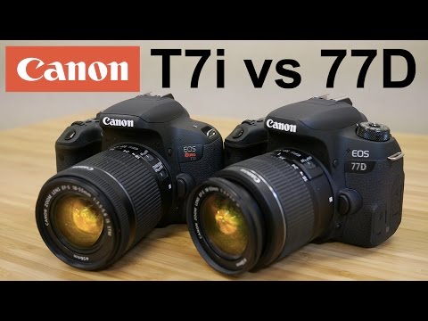 Canon T7i (800d) vs Canon 77D - Head to Head Shootout!