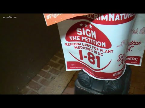 DC voted yes on Initiative 81 to decriminalize psychedelic mushrooms | What's next?